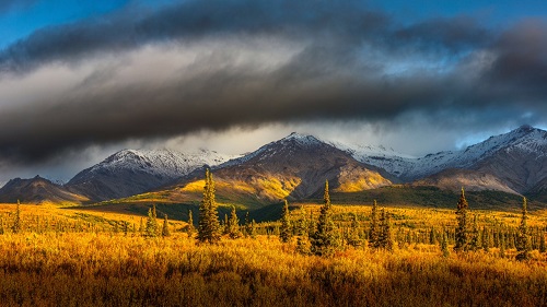 Denali Nationaal Park Alaska